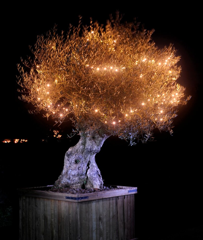 Гирлянда Garden Lights Linea 2